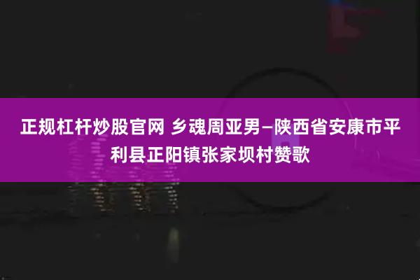 正规杠杆炒股官网 乡魂周亚男—陕西省安康市平利县正阳镇张家坝村赞歌