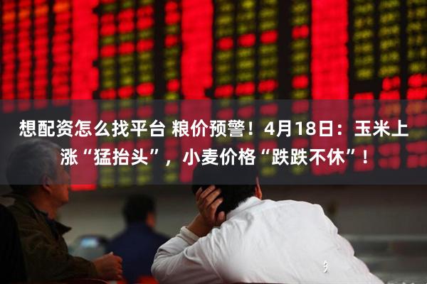 想配资怎么找平台 粮价预警！4月18日：玉米上涨“猛抬头”，小麦价格“跌跌不休”！